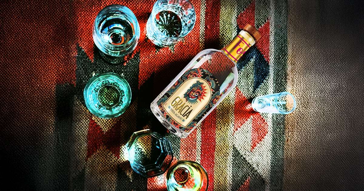 All you need to know about Agave drinks